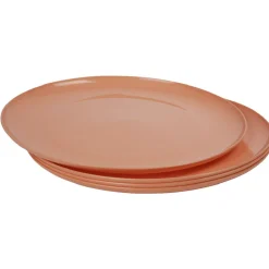 Assiette en plastique couleur unie x 4