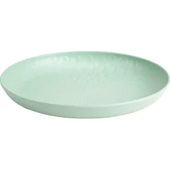 Assiette plate en plastique