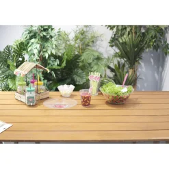 Assiette plate plastique pastèque envoy paradise