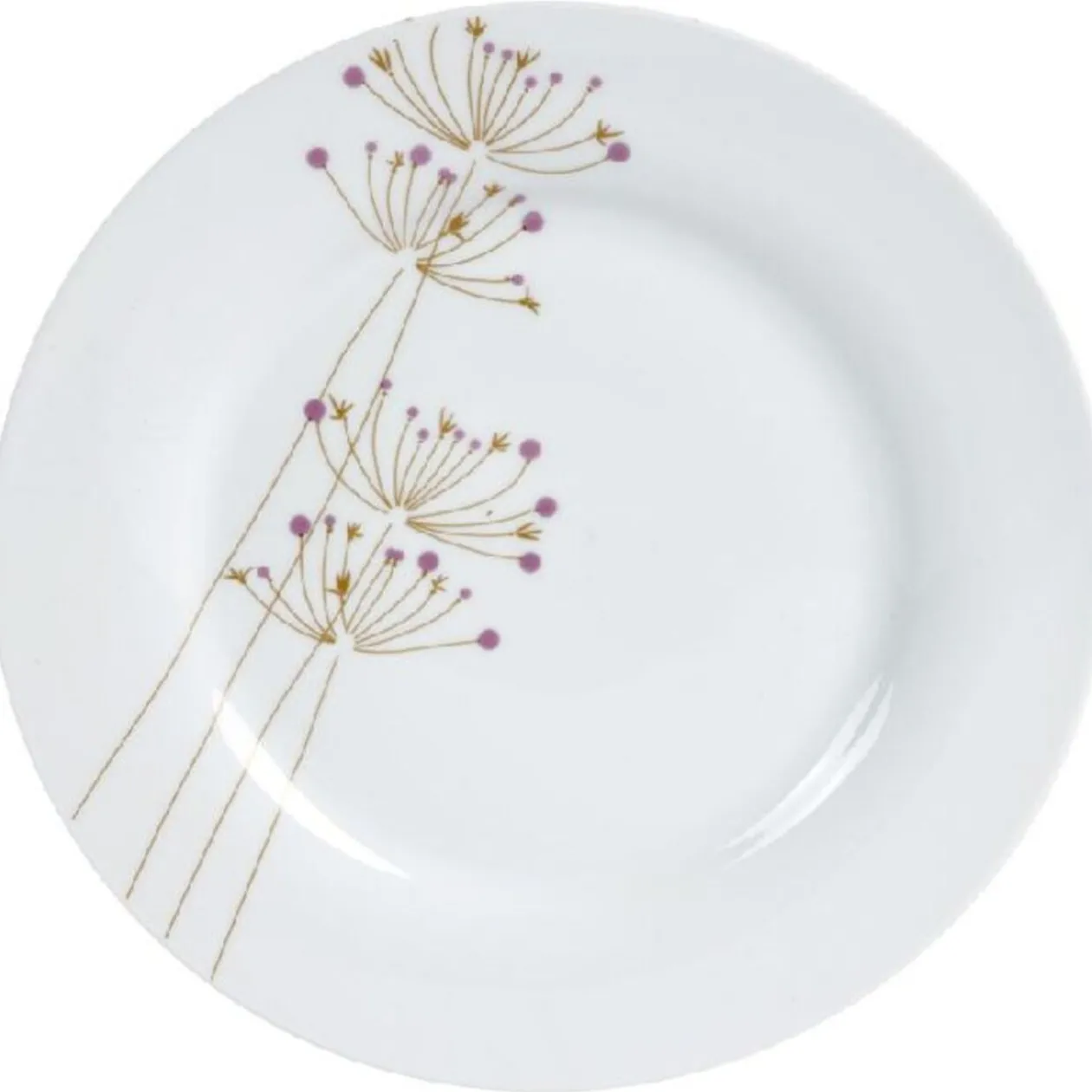 Assiette plate porcelaine
