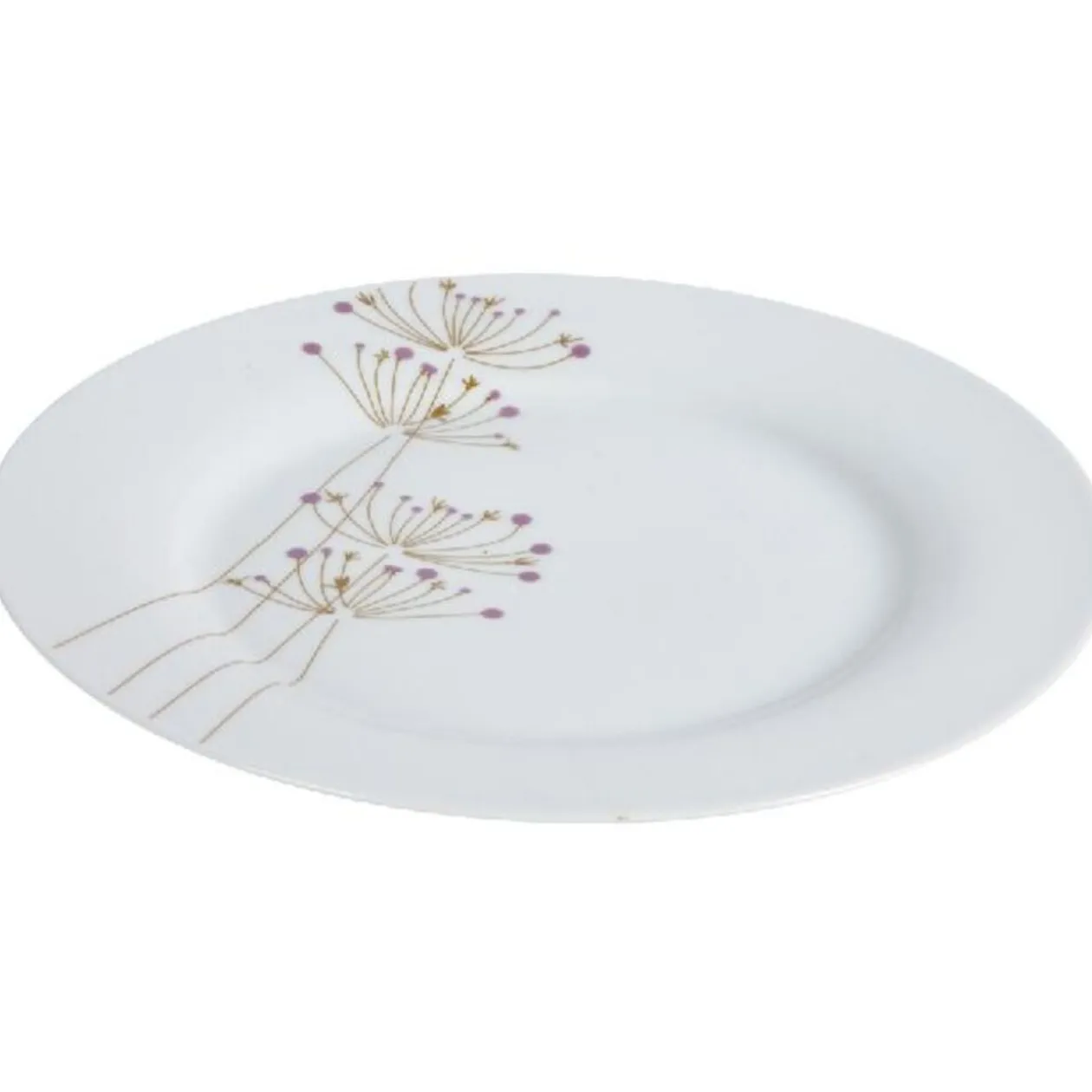 Assiette plate porcelaine