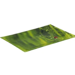 Assiette plate rectangulaire verte design coccinelle