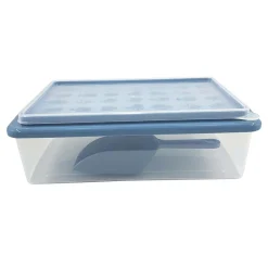 Bac à glaçons forme fruit avec réservoir et pelle