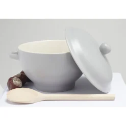 Bol à soupe gris avec couvercle