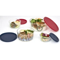 Boîte de conservation en verre x4