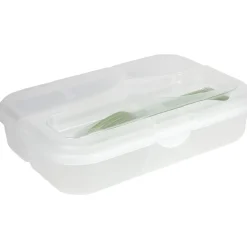 Boîte lunch transparente