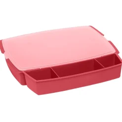 Boîte plastique spécial barbecue x2