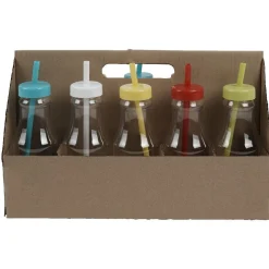 Bouteille en plastique avec paille colorée x10