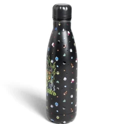 Bouteille isotherme Disney Villains inox 500ml - 4 modèles