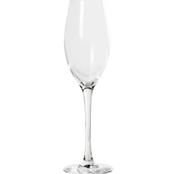 Flûte verre à vin cristallin gamme Wine Emotion 24 cl x6