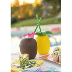 Gourde plastique et paille noix de coco