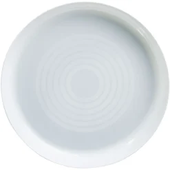 Lot de 6 assiettes en plastique réutilisable