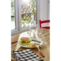 Lot de 10 verres à ballon transparents 19cl