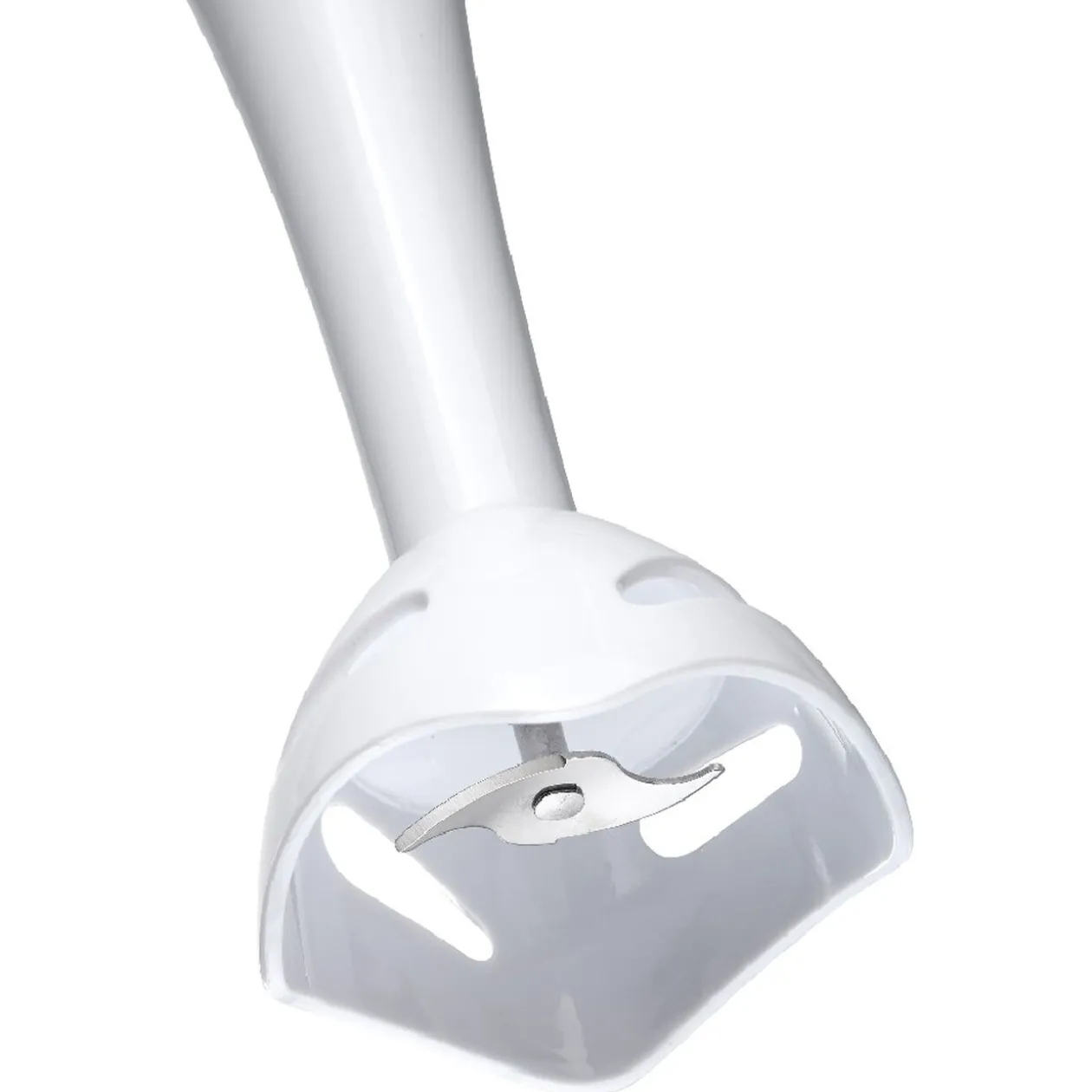 Mixeur plongeant Homday