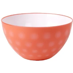 Saladier coloré plastique