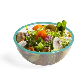 Saladier plastique transparent bordure colorée Ø28xH12cm - 3 coloris