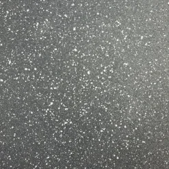 Sauteuse tous feux dont induction avec couvercle Ø28cm